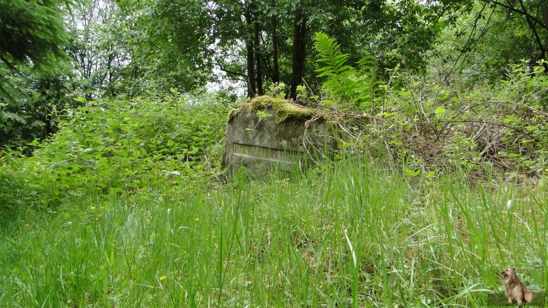 Ritterstein Nr. 186-3 R. Geiskopferhof.JPG - Ritterstein Nr.186 R. Geiskopferhof